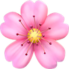 Cherry blossom emoji